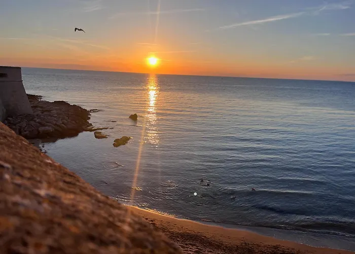 Gabbiani בית נופש